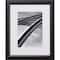 Craig Frames Economy Ebony Hardwood Picture Frame with Mat